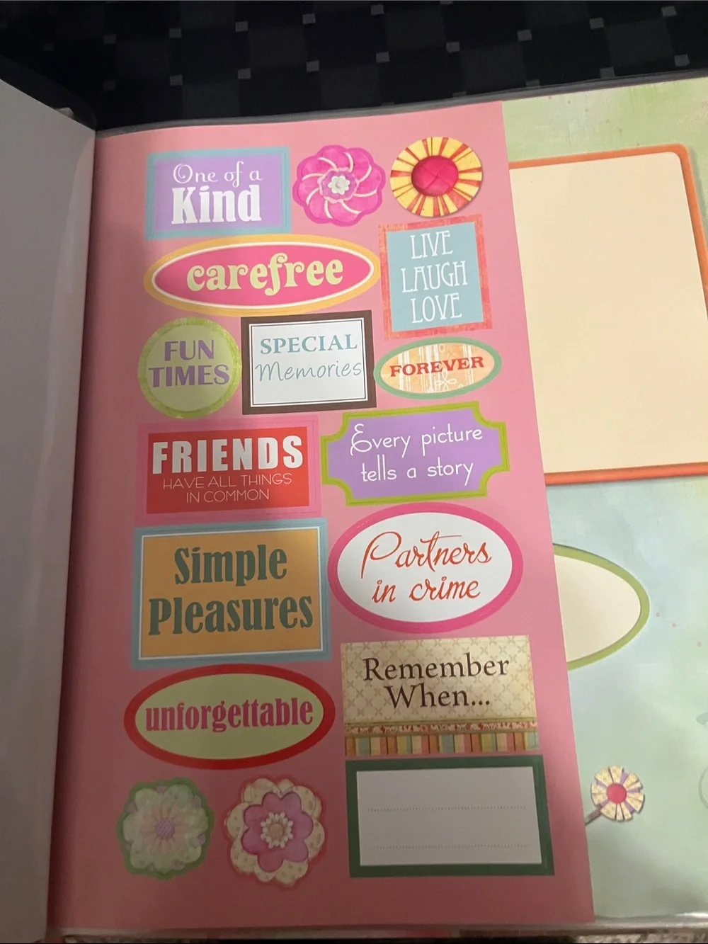 Scrapbook Decorative 12x12 Album Pages - Coral & Teal